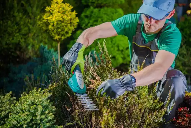 landscaping services Fredericktown